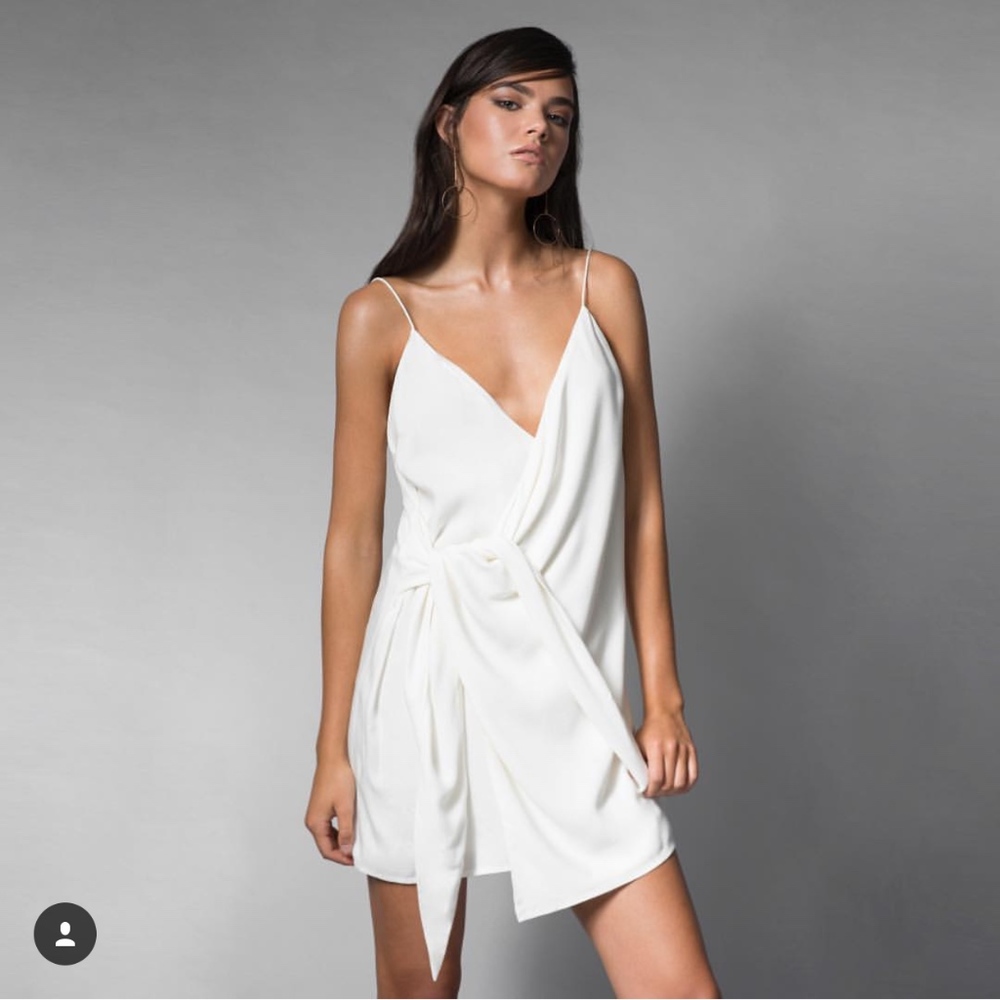 NWT Stylestalker Sadie Shift Dress